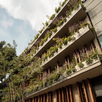 Avance de obra interior San Rafael