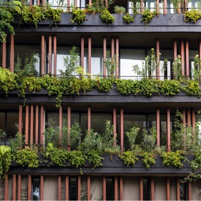 Habita Capital San Rafael